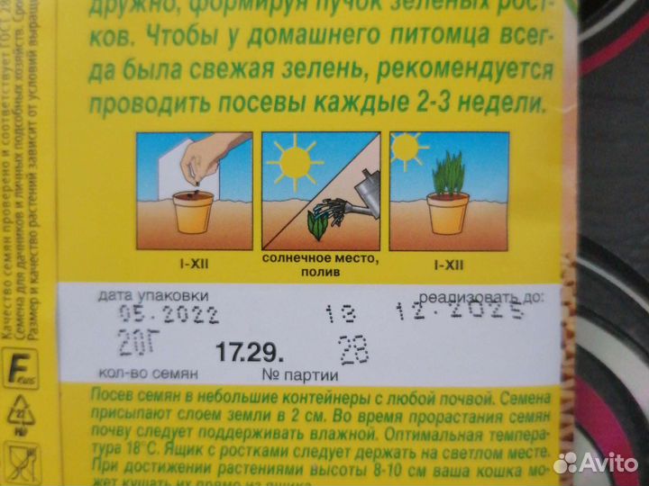 Травка для кошек