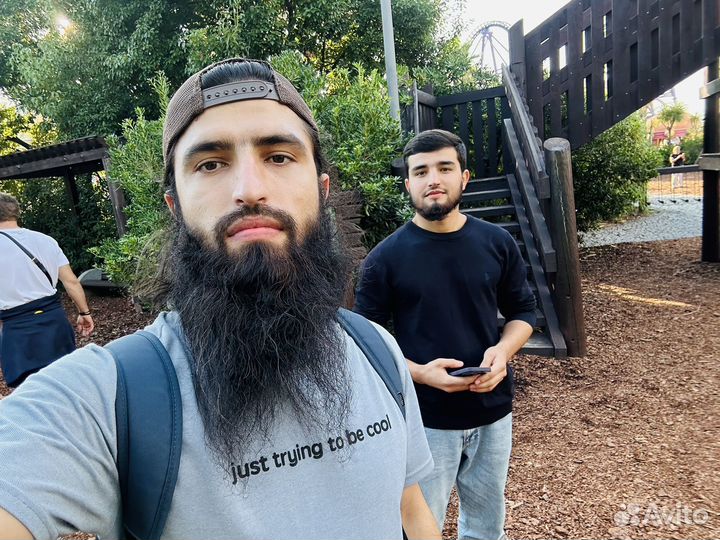 Услуги авитолога