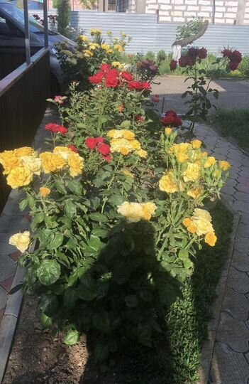 Дом 100 м² на участке 25 сот.