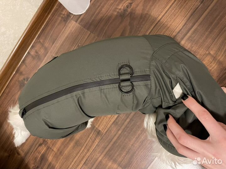 Дождевик для собак hunting pony