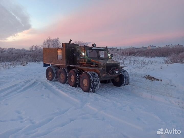 Снегоболотоход 