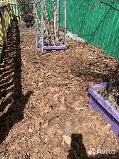 Мульча кора лиственницы