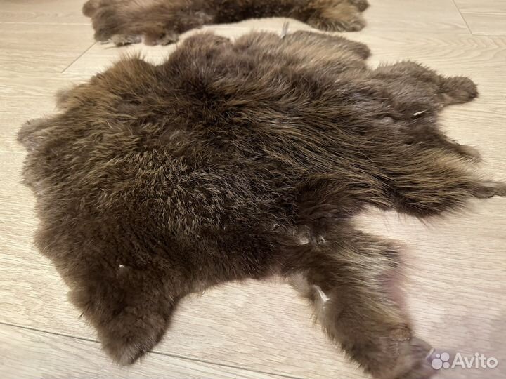 Шкурки дикого зверя