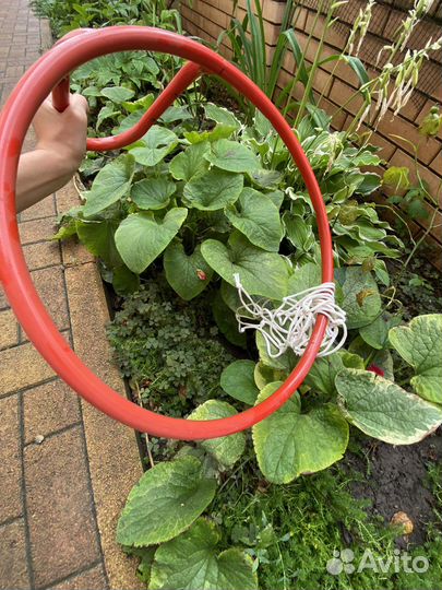 Баскетбольное кольцо