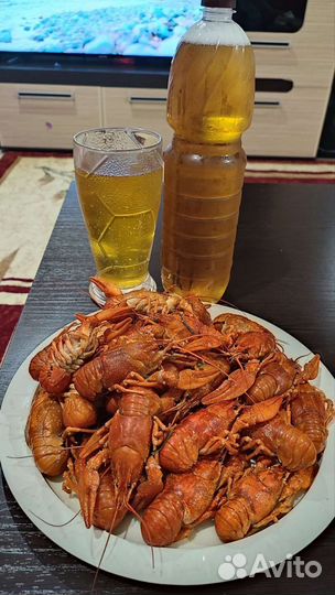 Продам живые раки
