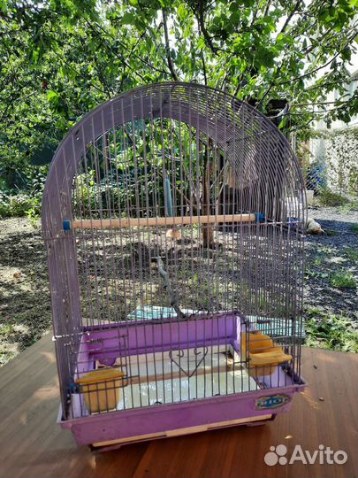 Много клеткок для птиц