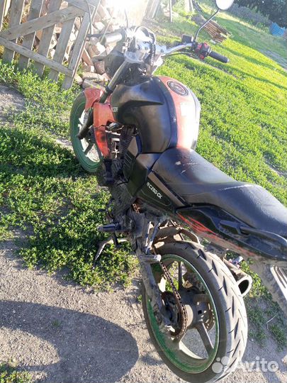 Рейсер нитро 250