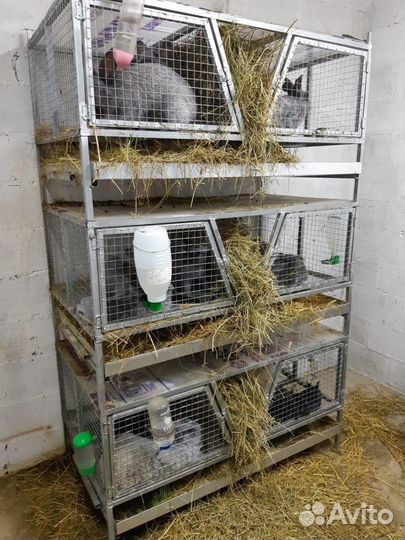 Клетки для кроликов от производителя