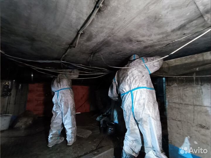 Промышленный клининг