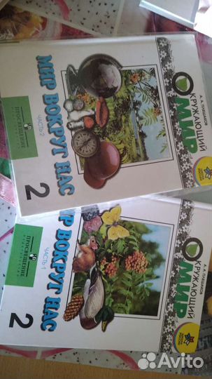 Плешаков окружающий мир