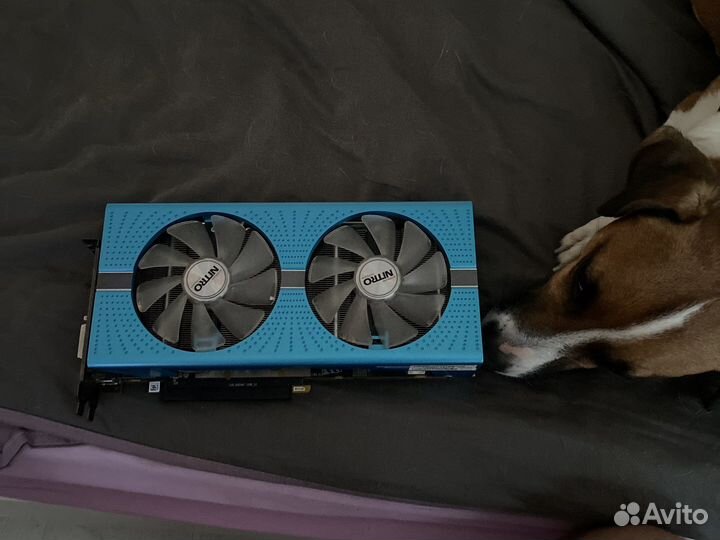 Видеокарта amd rx590 sapphire