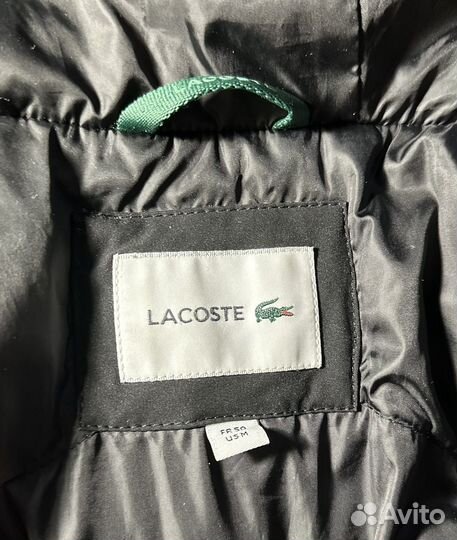Жилетка мужская lacoste