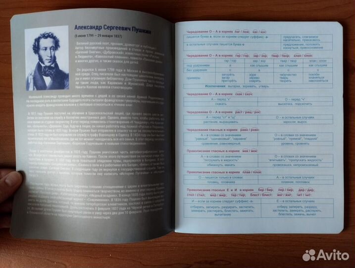 Тетради предметные в клетку и линейку 48 листов