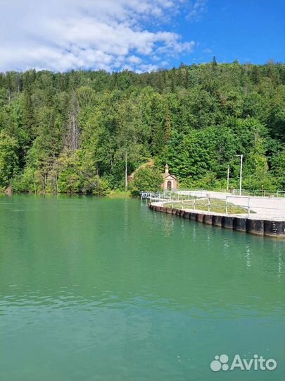 Поездка в Святые кустики