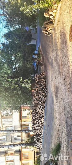 Отдам дрова (самовывоз)