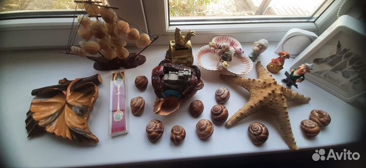 Морские сувениры и ещё кое-что