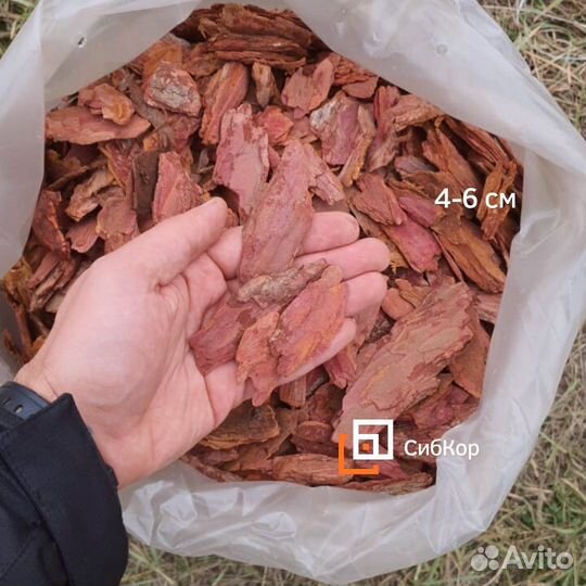 Кора сибирской лиственницы