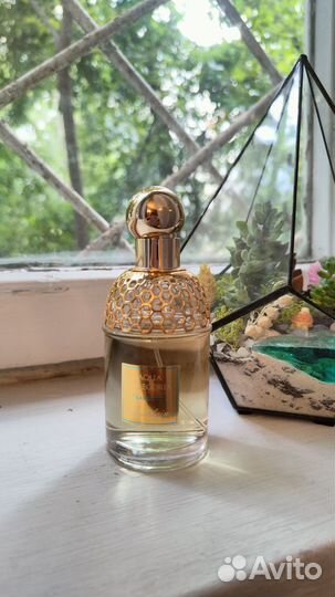 Духи Guerlain aqua allegoria