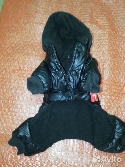 Одежда для собак