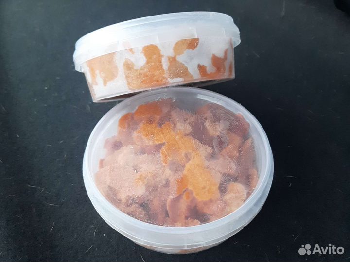 Икра морского ежа