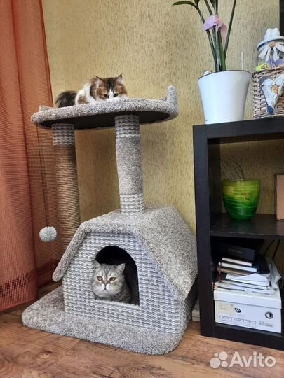 Когтеточки и домики для животных 