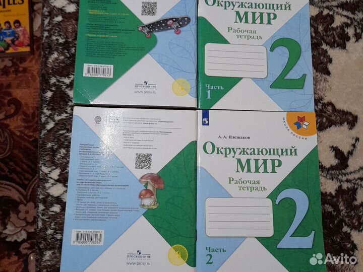 Рабочая тетрадь 2 класс окружающий мир