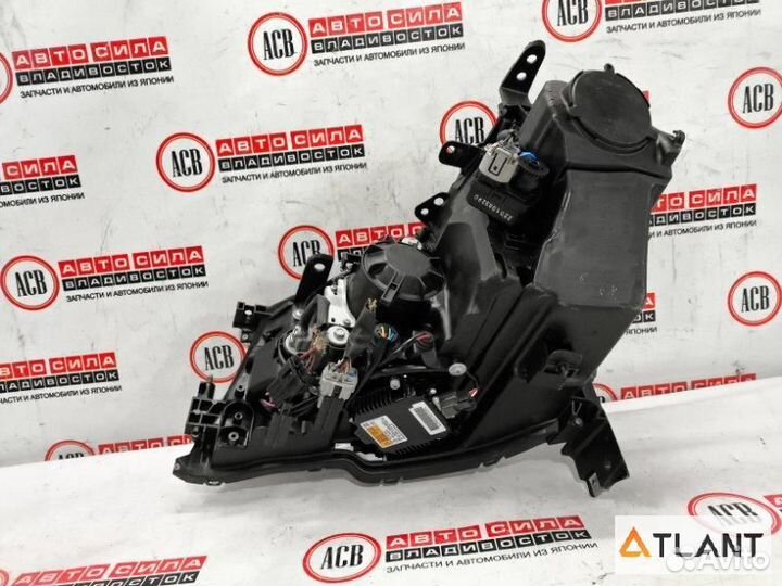 Фара правая nissan fuga