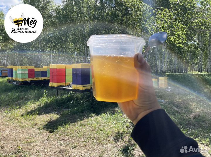 Мед натуральный со своей пасеки