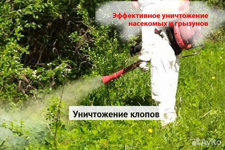 Уничтожение клопов тараканов грызунов блох плесени