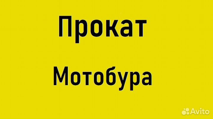 Мотобур в прокат