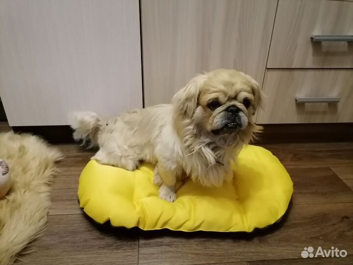 Новые Лежаки для собак/котов 