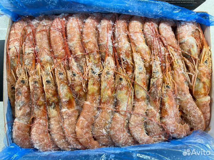 Лангустины L2