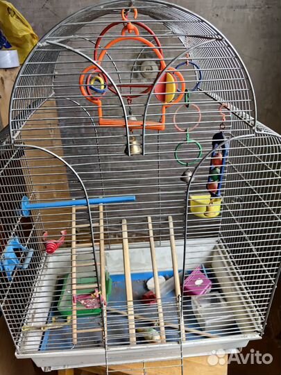 Клетка для попугая забронировано
