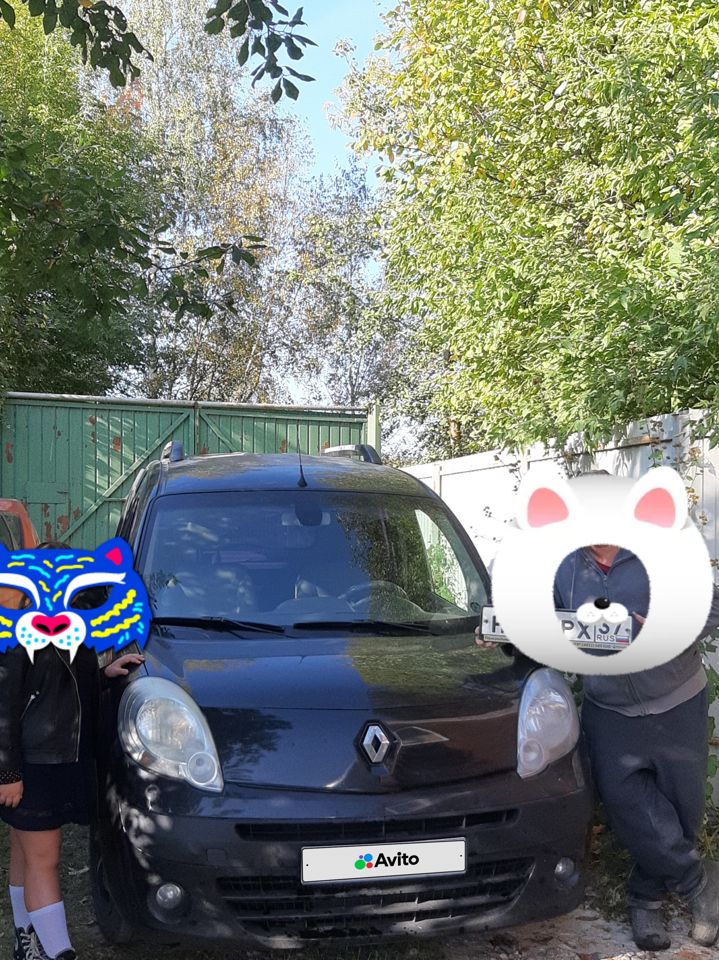 Renault Kangoo: фото владельца