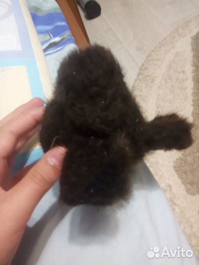 Мягкая игрушка белка