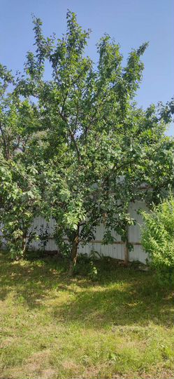 Участок 7 сот. (ИЖС)