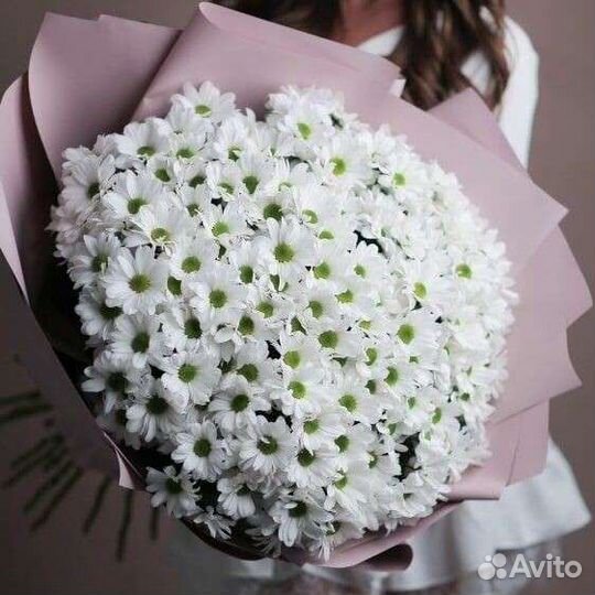 Букет из ромашек, цветы ромашки, доставка