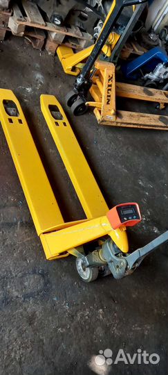 Рохля вессовая