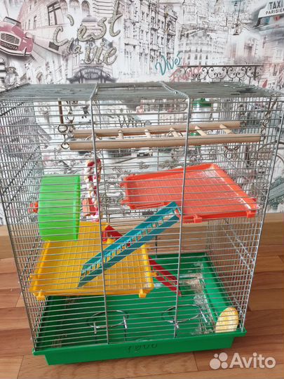 Клетка для джунгарского хомяка