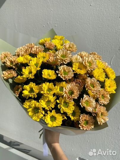 Шикарный Букет из Хризантем Доставка