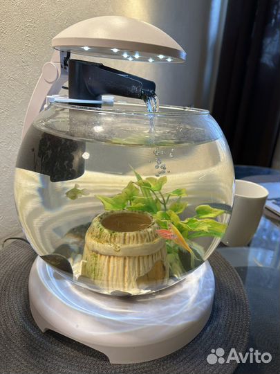 Аквариум с рыбками бу