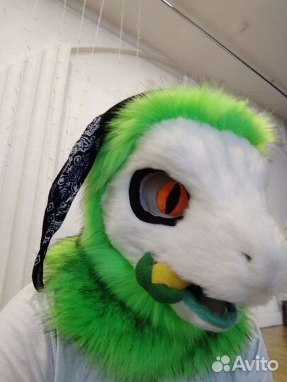 Фурсьют,фурри на зака