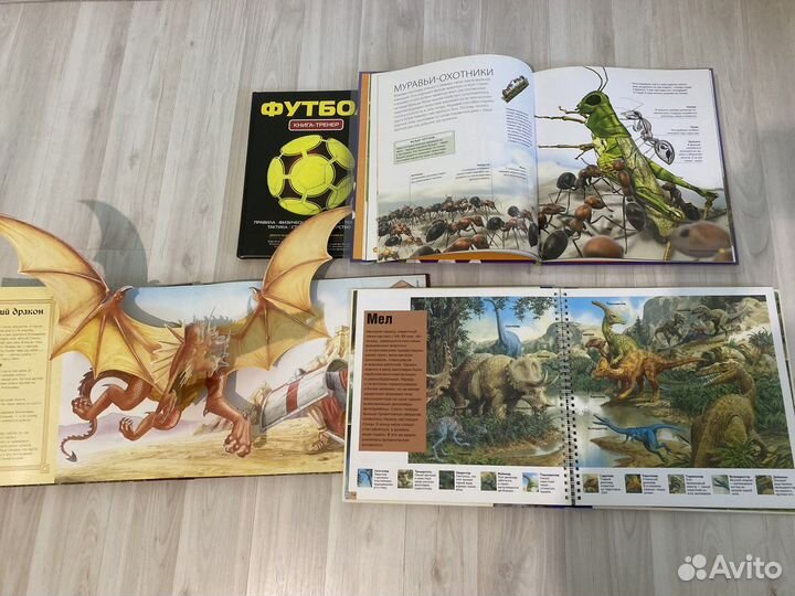 Книги для младших школьников