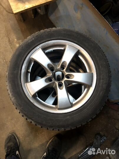 Collins Winter Extrema 215/55 R16