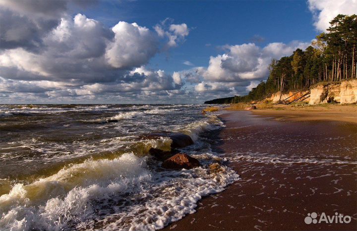 Доверительное управление, аренда недвижимости