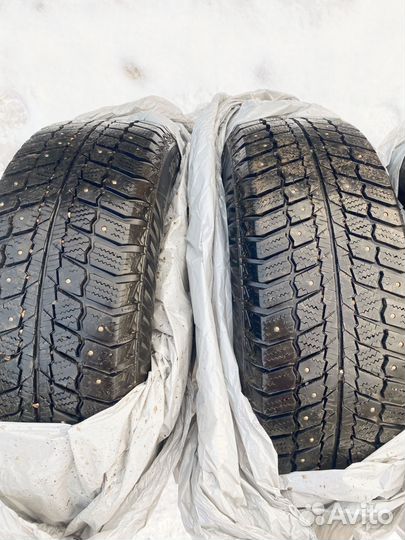 Matador MP 50 Sibir Ice 185/65 R15