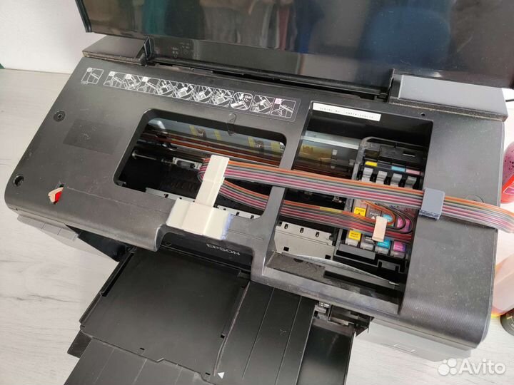 Epson Stylus Photo P50