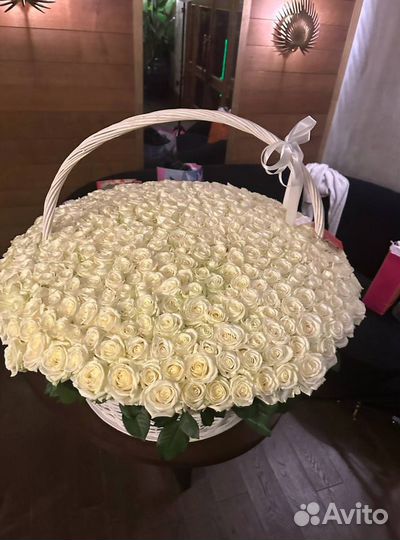 Розы Цветы 25 51 101 Букеты