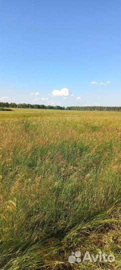 Сено в упаковке