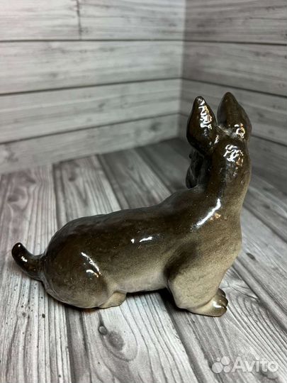 Собака Скотч терьер лфз СССР